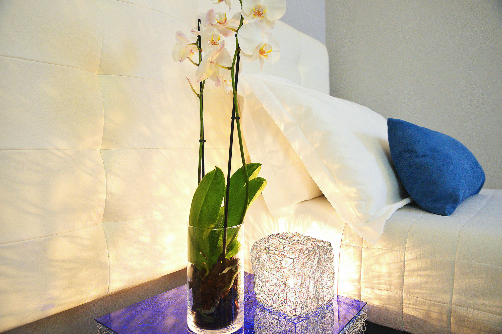 B-Cool (Adults Only) Bed & Breakfast Roma Ngoại thất bức ảnh